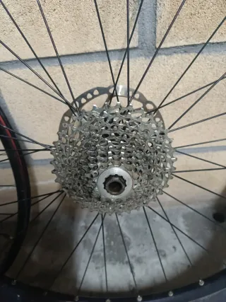 Ruedas MTB 29 Alexrims