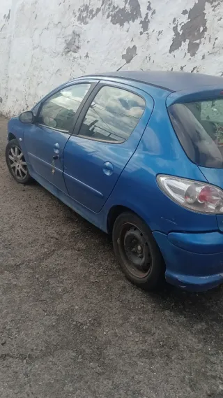 Peugeot 206 1991