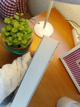 El príncipe cruel: Los habitantes del aire, 1 (...