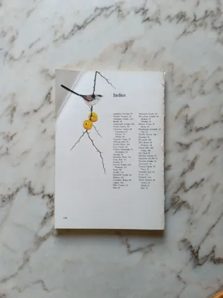 Nuestros amigos los pájaros