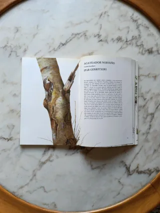 Nuestros amigos los pájaros