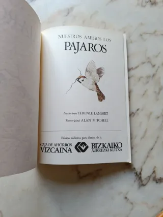 Nuestros amigos los pájaros