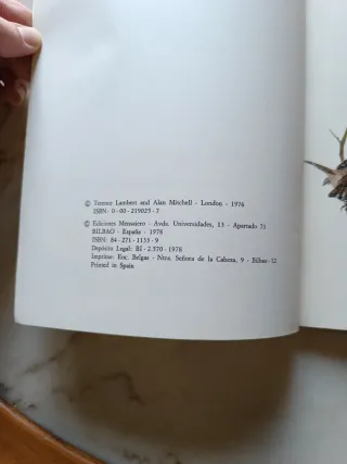 Nuestros amigos los pájaros