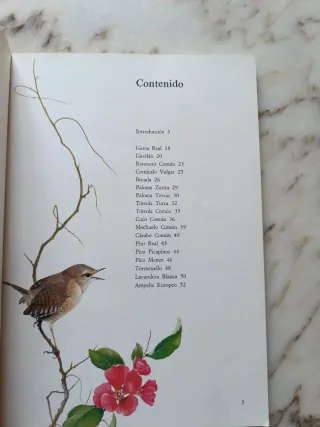 Nuestros amigos los pájaros