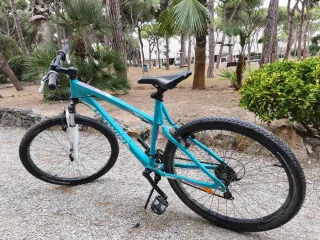 Bicicleta Talla L-XL