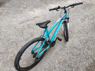 Bicicleta Talla L-XL