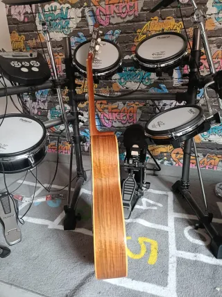 Guitarra Española Tatay Tomás Palo Santo