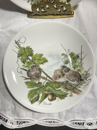 Plato porcelana Seltmann Edición limitada pajaros