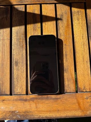 iPhone 13 Pro Max Plata 512gb