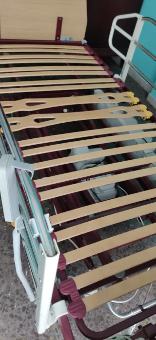 Cama articulada Pardo eléctrica