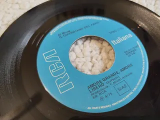 Disco Vinile 7" Il Guardiano Del Faro Amore grande