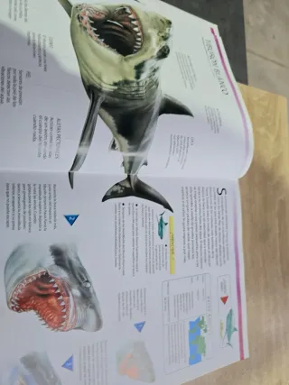 Tiburones y Otros Monstruos Marinos: Las Criatu...