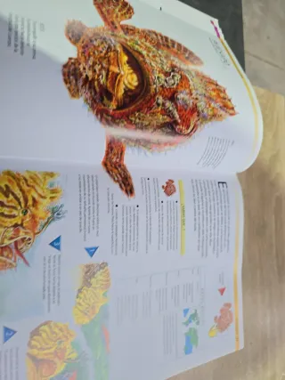 Tiburones y Otros Monstruos Marinos: Las Criatu...