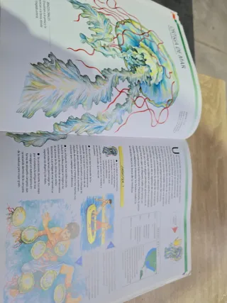 Tiburones y Otros Monstruos Marinos: Las Criatu...