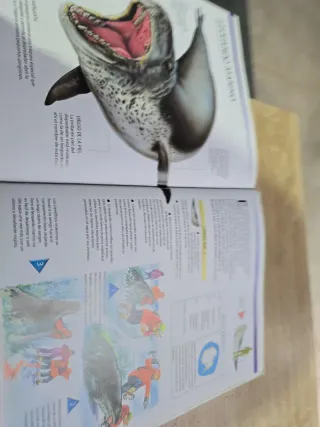 Tiburones y Otros Monstruos Marinos: Las Criatu...