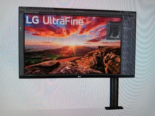 Monitor LG QHD Ergo 27QN880