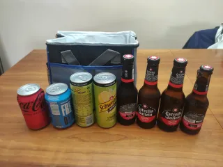 Nevera portátil pequeña y plegable