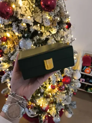 Portagioie verde con interno beige