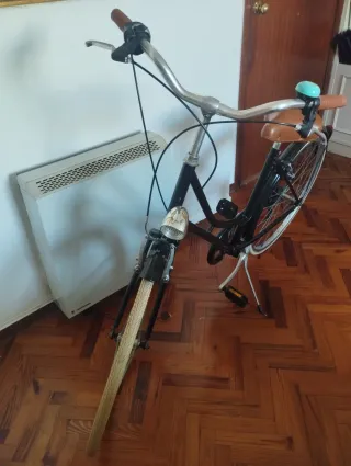 Bicicleta tipo holandesa.
