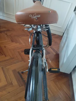 Bicicleta tipo holandesa.