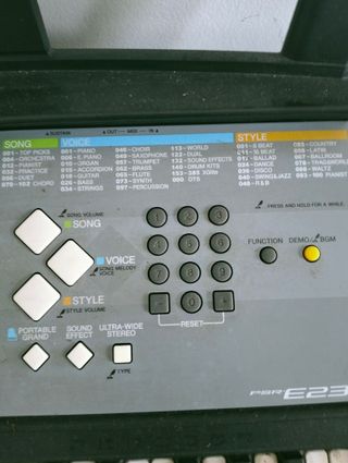 Teclado Yamaha PSR-E233 Portátil