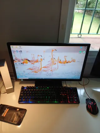 PC Gaming + Monitor HANNS G + Teclado y Ratón