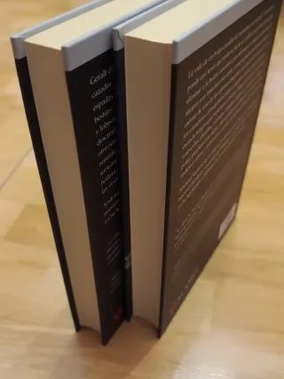 2 libros The Witcher