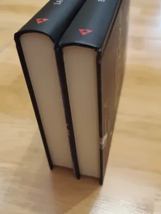 2 libros The Witcher