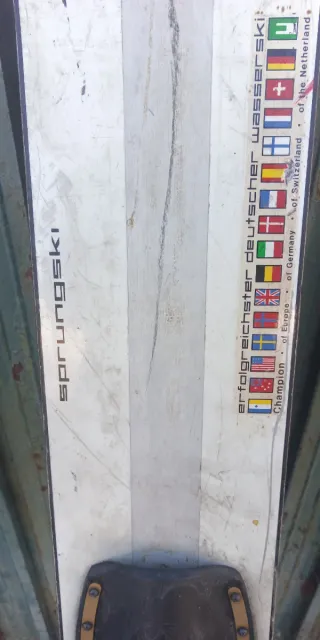 Esquí acuático vintage decoración