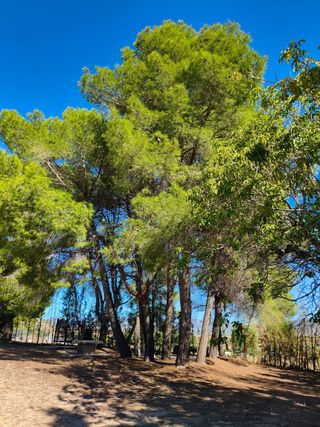 ALQUILER DE FINCA PARA CELEBRACIONES