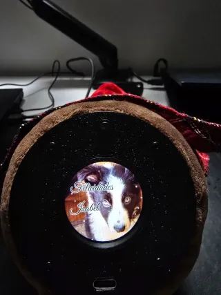 ¡El Cagatió que lo sabe todo!