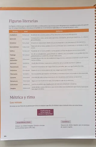 Lengua Castellana y Literatura 2 bachillerato