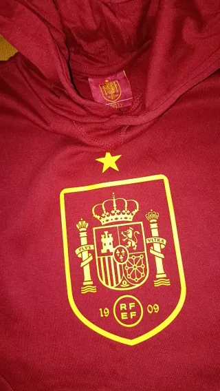 Sudadera niño escudo España morada