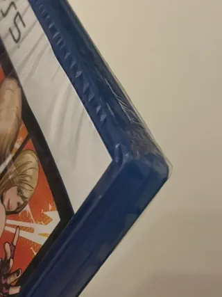 PS5 Fatal Fury City of the Wolves