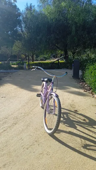 Bicicleta Electra Lila Morada