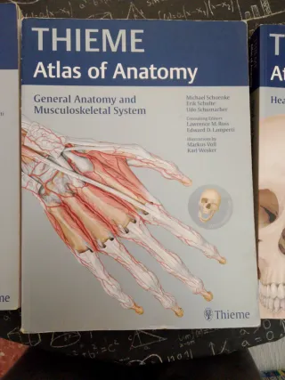 Neck and Internal Organs