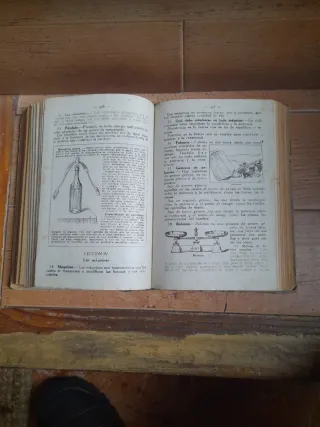 Enciclopedia grado medio