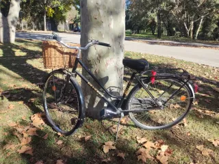 Bicicleta Peugeot Clásica 3 Marchas