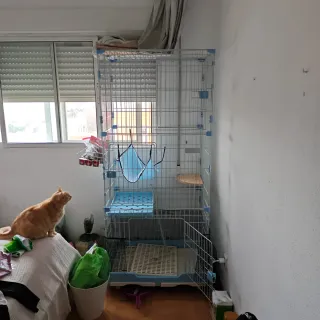 Jaula grande para chinchilla gatos