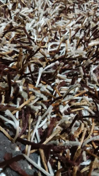 Alfombra pelo 185x120 cm