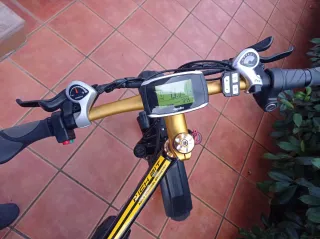 Bicicleta Eléctrica Fat Bike RICH BIT