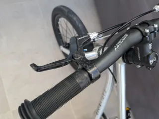 Bicicleta Infantil Early Rider Belter Urban 16"