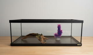 Acuario 30L con decoración