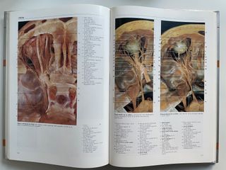 Atlas fotográfico de anatomía humana