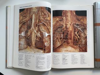 Atlas fotográfico de anatomía humana