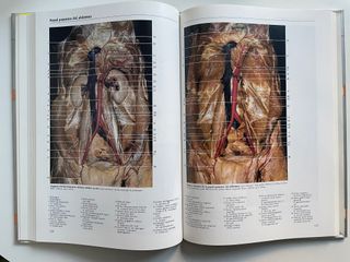 Atlas fotográfico de anatomía humana