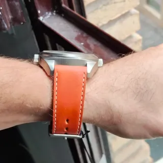 Reloj Paul Versan Hombre Marrón/Plata