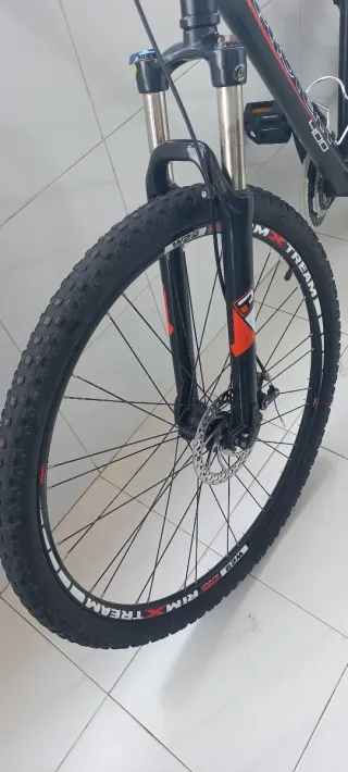 Bicicleta MTB 29 ProTeam