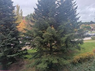 Piso en alquiler en Arturo Eyres - La Rubia en Valladolid