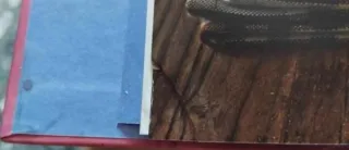 Pasión por los dulces